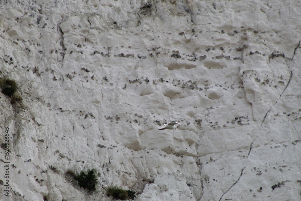 Fototapeta premium Photos du Tréport en,France