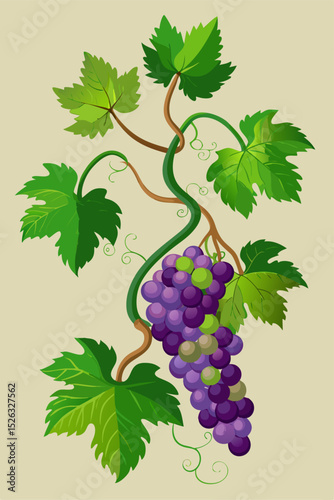Realistic vector depiction of a grapevine with rich green leaves and ripe grape bunches arranged on winding branches for versatile applications