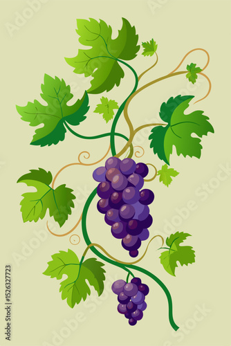 Stylized vector image of a grapevine with intricate leaf patterns and ripe fruit for seamless designs, borders and educational content
