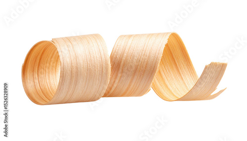 A light-colored, curly wood shaving with smooth texture and natural grain patterns.
