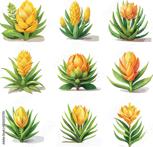 Cereus Cactus Set Vector – Tall Columnar Succulent Plant Illustration Collection
