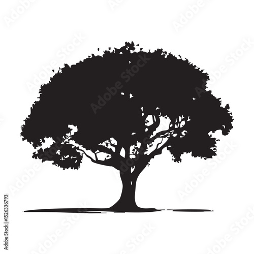 Tree isolated on transparent background with clipping path, single tree with clipping path and alpha channel. 