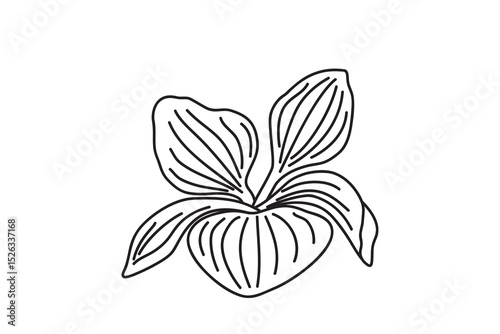 Line art botanical leaves isolated on white background. Hand drawn outline foliages plant vector illustration. Graphic design element for Birthday Wedding Greeting Card Flyer Poster Invitation Print