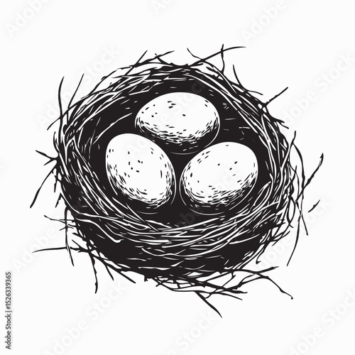 Birds Nest With Three Eggs Image Vector Isolated on white background.
