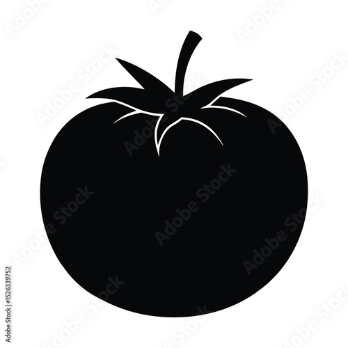 tomato vector illustration