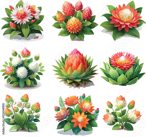 Rebutia Cactus Set Vector – Small Flowering Succulent Plant Illustration Collection