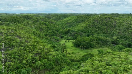 Tropical forest mountain Cebu drone aerial Philippines exotic biodiversity plants and animals, endemic species mountains, range climate, dry season and rainy season, overpopulation intensive