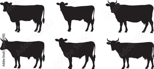 Six Different Types of Bridge Icons Black and White