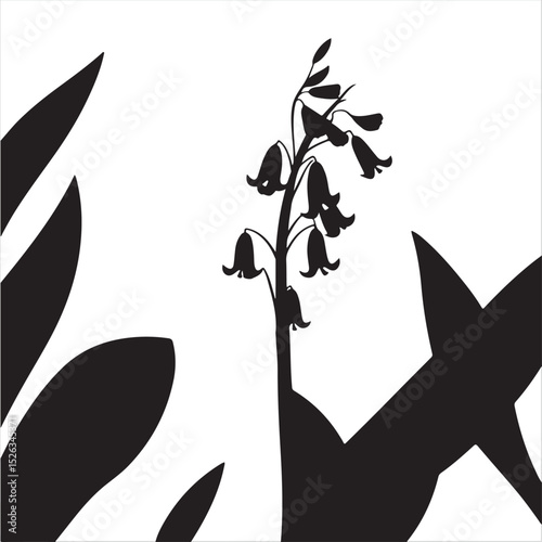 A timeless and elegant vector illustration in classic black and white flat design featuring a two-dimensional silhouette of Virginia bluebells against a white background. 