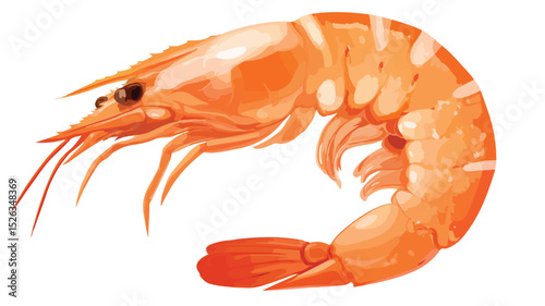 Professional Vector Illustration of Isolated Cooked Shrimp for Design Projects
