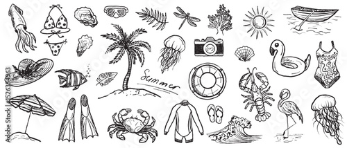 Sea vacation equipment in black brush stroke texture isolated on white. Hand drawn vector sketch illustration in vintage charcoal ink. Palm tree on a beach, marine animals design