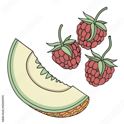 Delicious illustration of a cantaloupe slice and fresh red raspberries on a white background