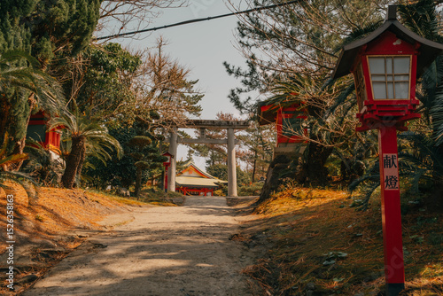 Tableau sur toile Forest Shrine in Kagoshima, Kyushu, Japan