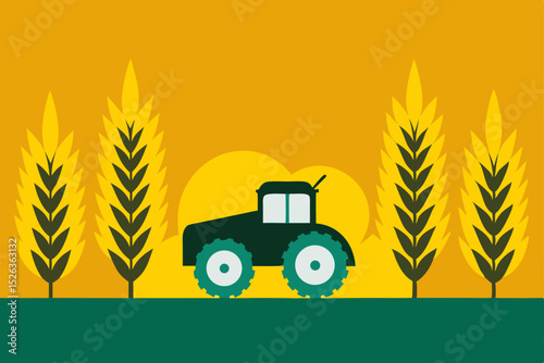 Red combine harvester machine works on a green wheat field