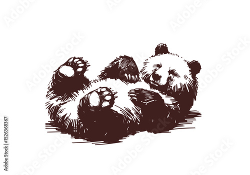 Brown Bear hand drawn sketch vector illustration