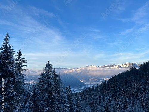 Majestic Winter Landscape: Snow-Capped Mountains and Lush Evergreen trees under blue sky