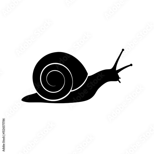 snail on white background , A black silhouette of a snail with a spiral shell on white background on white background , no background