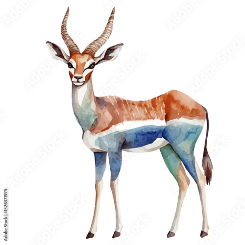Antelope, watercolor painting vector, high quality, isolated on a white background.