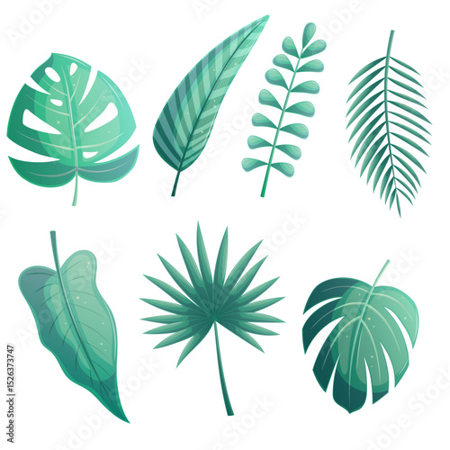 A set of tropical leaves of different shapes on a white background. Palm leaves, bananas, monstera, tamarind, calathea. Isolated vector illustration for the design of postcards, textiles, banners
