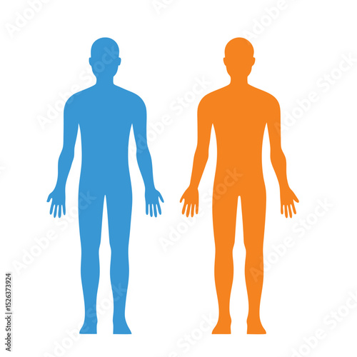 Two human body silhouettes in blue and orange illustrating anatomy and healthcare concepts