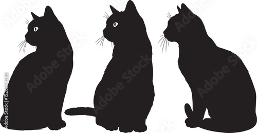 Curious cat crouching silhouette vector illustration