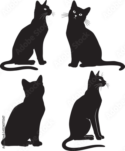 Cat standing on four legs silhouette vector illustration