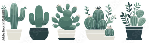 Cactus ornamental plant vector