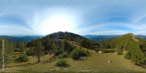 Near mountain in pinery in sunny day - Equirectangular 360 degree landscape