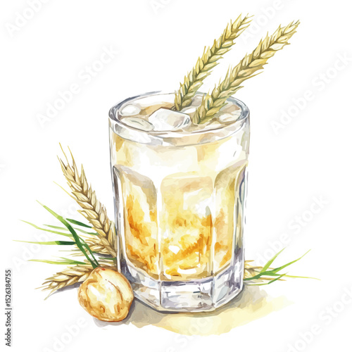 Barley Water, watercolor illustration vector, high quality, isolated on a white background.