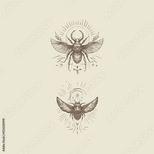 Sacred scarab design vector template illustration