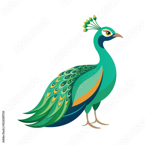 green peafowl colorful bird vector