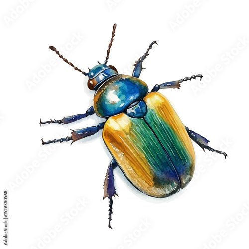 watercolor vector of Beetle, high quality, isolated on a white background.