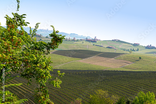 Barolo, the wine is very wel regarded