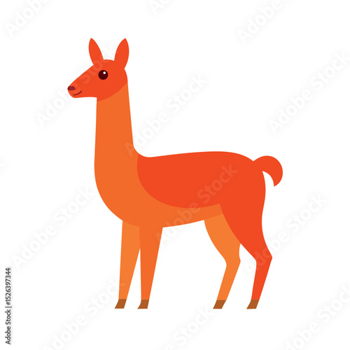 vicuna wild mammal vector design