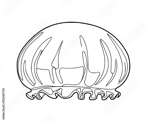 Shower Cap Line Art