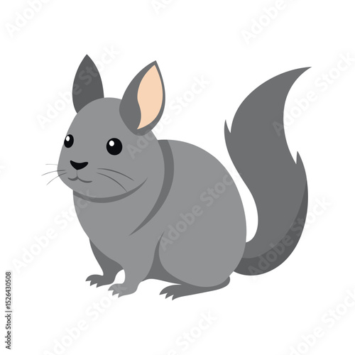 Cute Chinchilla Color Drawing White Background