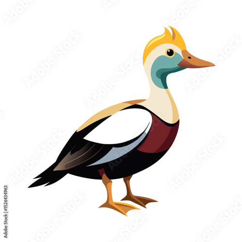 King Eider Duck Color Vector Art with White
