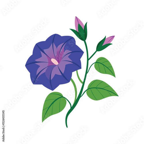 Morning Glory Vector Art for Floral Themes
