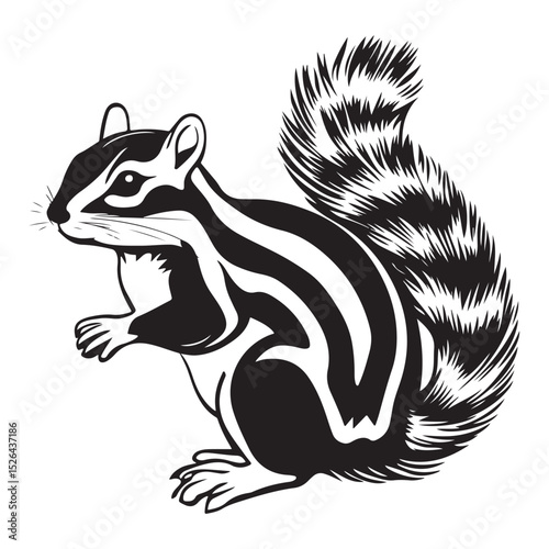 Siberian chipmunk is standing on the ground