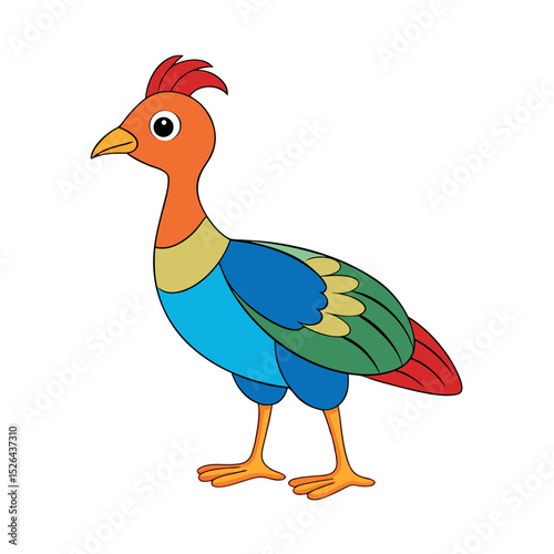 Tinamou Avian Species Vector with White Background
