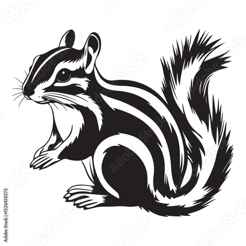 Siberian chipmunk is standing on the ground