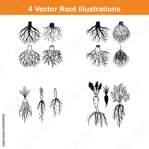 Each black and white vector showcases the intricate details of various roots, perfect for educational materials,