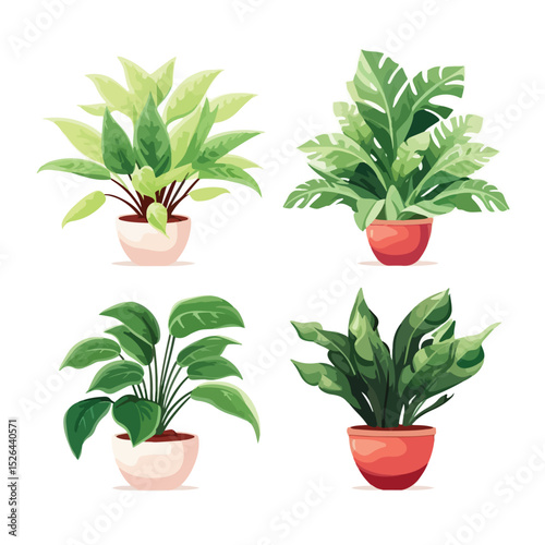 Three Houseplants in Garden Nature Scene Vector Illustration