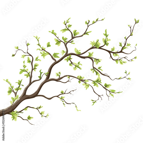Springtime Tree Foliage Branch Vector Illustration for Designs
