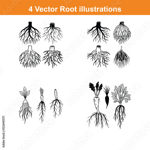 Each black and white vector showcases the intricate details of various roots, perfect for educational materials, botanical studies, or artistic projects.