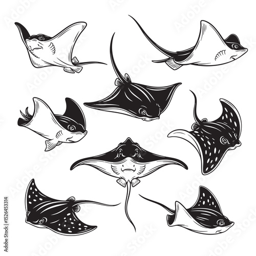 Collection of stingrays and manta rays in black and white vector style. Various swimming poses, perfect for ocean themed art, tattoos, or logos. Fish, Animals.
