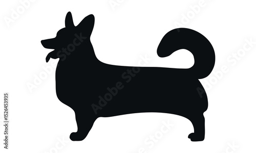 Dog silhouette. Corgi silhouette isolated on white background.