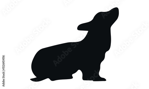 Dog silhouette. Corgi silhouette isolated on white background.