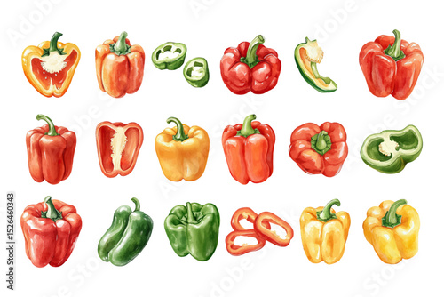 Set of 20 watercolor bell peppers in various colors. Vector illustration. 