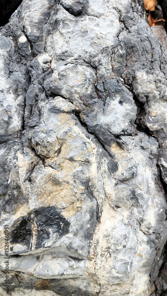 Fototapeta premium The texture of the rocks with natural cracks depicts solidity.